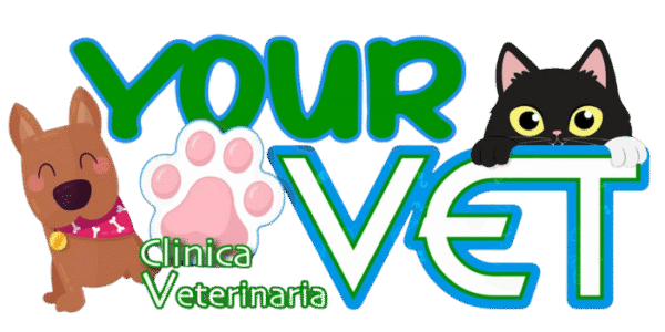 YourVet Logo