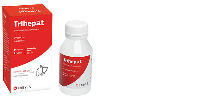 TRIHEPAT LABYES 100ML