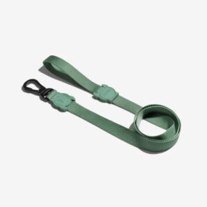 CORREA  ZEED DOG SMALL LEASH VERDE CLARO