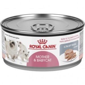 ROYAL CANIN LATA MOTHER AND BABYCAT 145GR